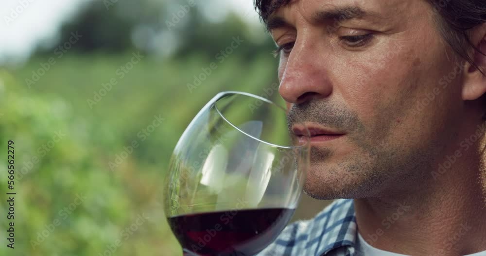 Portrait of Middle Aged Man Smelling and Tasting White Wine in Vineyard. Authentic Shot of Professional Male Farmer and Winemaker Enjoying the Results of his Work and the Quality of his Winery Product Portrait of Middle Aged Man Smelling and Tasting White Wine in Vineyard. Authentic Shot of Professional Male Farmer and Winemaker Enjoying the Results of his Work and the Quality of his Winery Product