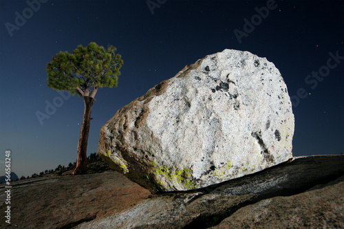 Typical landscape found in the High Country of Yosemite National Park, California. Image captured at night with a photographic technique known as light painting; Summer 2005.