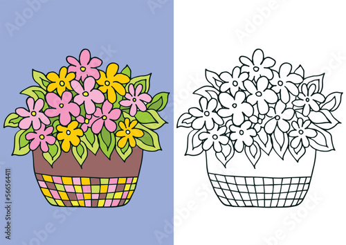 Coloring page with flowers in pot. Linear monochrome and colored version of illustration. Cute home flowers for coloring book.