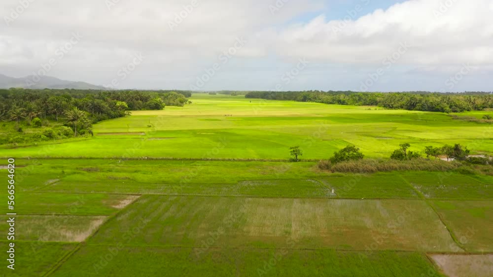 Aerial view of rice fields and agricultural land in the Philippines.