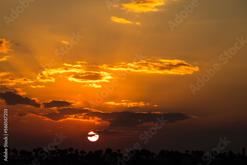 colorful sunset amelia island florida silhouette palm trees rays
