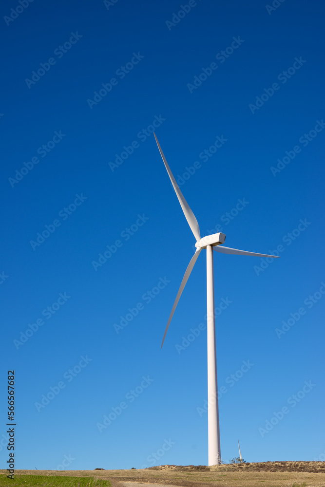 Wind turbine generator