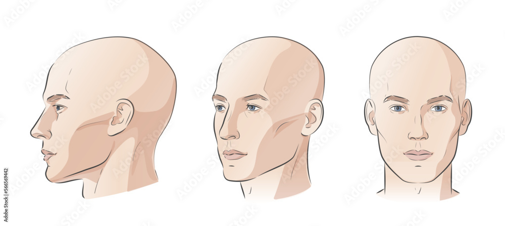 Male Head Sketch