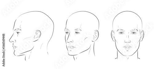 Man face portrait three different angles and turns of a male head. Bald hairless man. Close-up vector line sketch. Set of different view front, profile, three-quarter of a boy photo