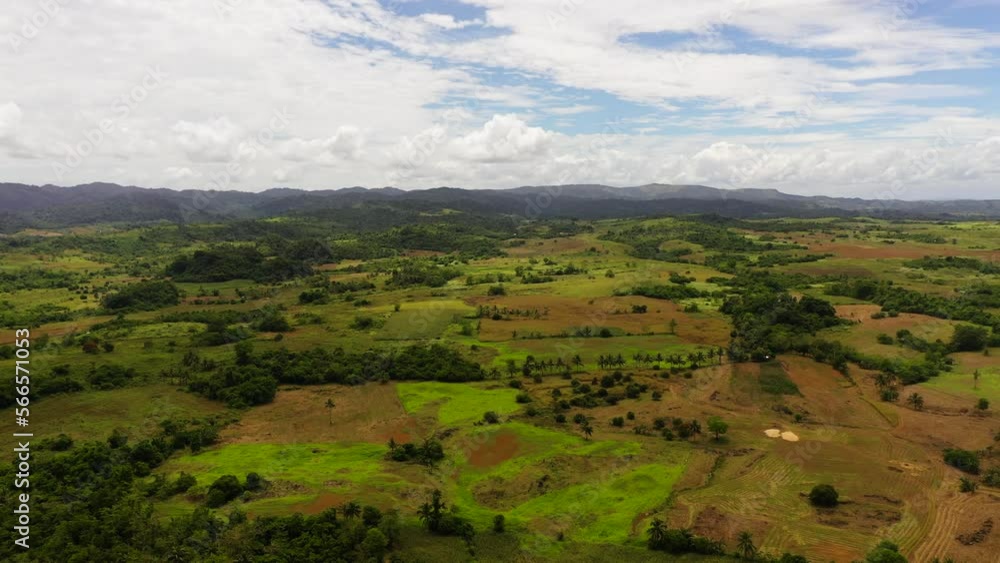 Tropical landscape: Agricultural land with plantings against a background of mountains and blue sky. Philippines. Tropical landscape: Agricultural land with plantings against a background of mountains and blue sky. Philippines.