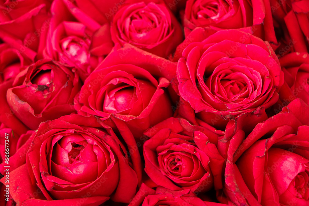 Bouquet of red roses background. Top view Bouquet of red roses background. Top view