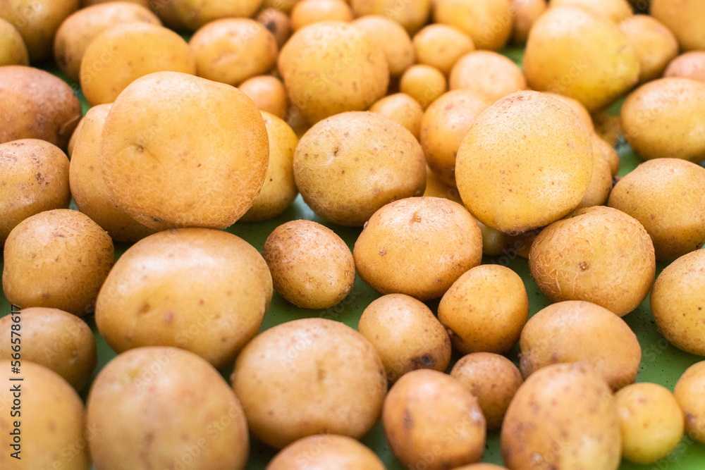 Collection of fresh baby potatoes on a plate. Collection of fresh baby potatoes on a plate.