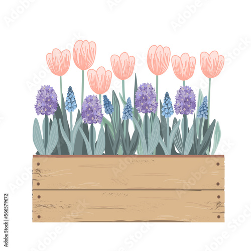 Wooden vintage box with Spring flowers. Tulips, hyacinths, muscari. Doodle hand drawn vector illustration isolated on white. Summer garden