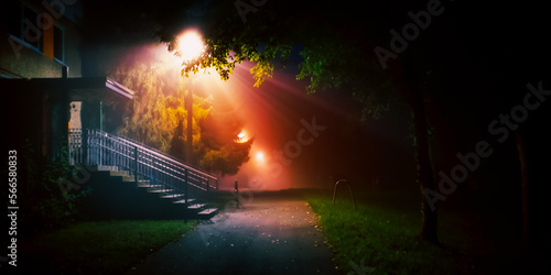 light of street lamp in foggy night weather © luchschenF