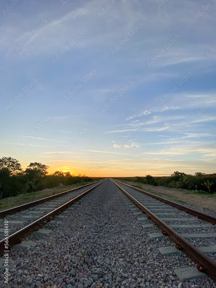 Fototapeta premium railway in the countryside