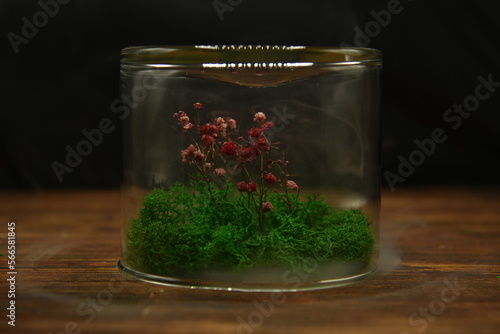 green tea in glass jar