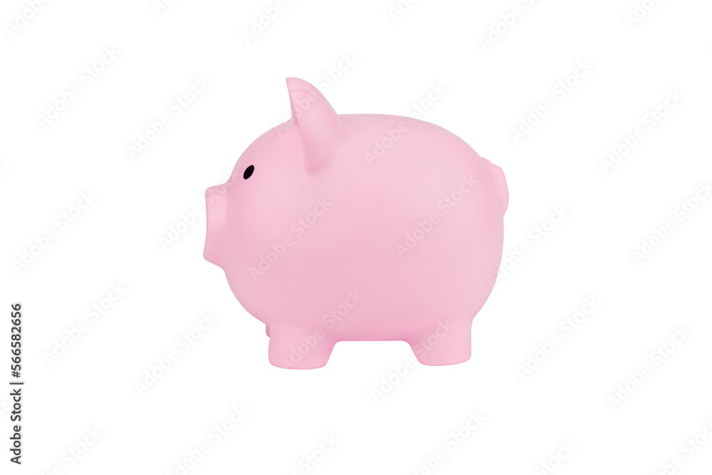 Pink piggy bank