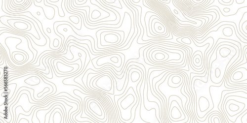 Abstract 3d Topographic map background with wave line. gradient multicolor wave curve lines banner background design. Vector illustration. Line topography map contour background.	
