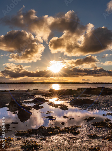 Early morning walk at Penrhos Nature park Islae of Angelsey photo