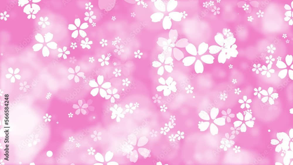 White cartoon cherry blossoms. Pink spring background. Romantic bokeh. Sakura flowers. Easter. 23,98fps White cartoon cherry blossoms. Pink spring background. Romantic bokeh. Sakura flowers. Easter. 23,98fps