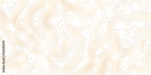 Abstract 3d Topographic map background with wave line. gradient multicolor wave curve lines banner background design. Vector illustration. Line topography map contour background.	