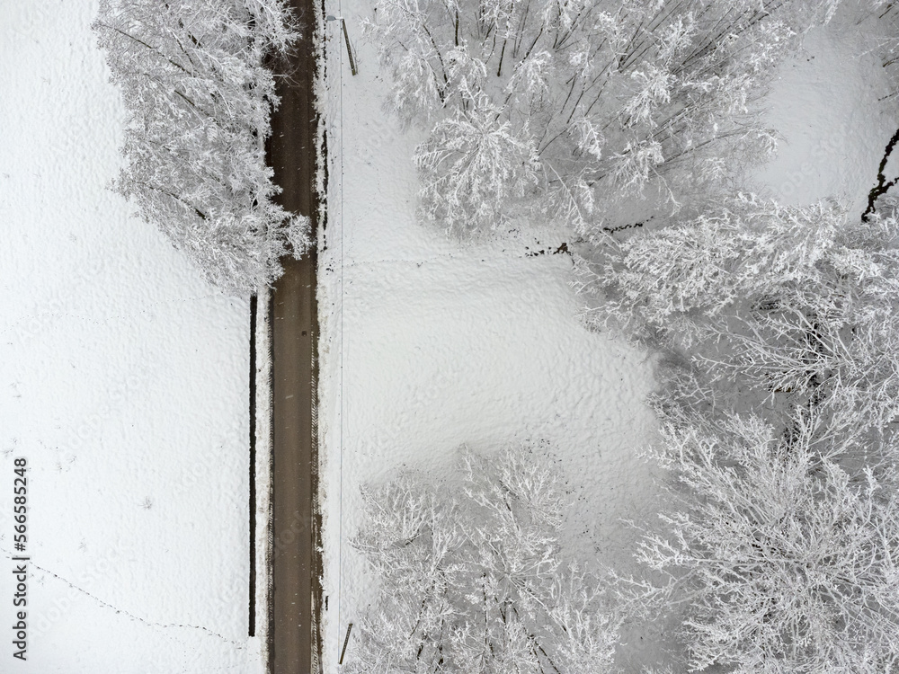 Winter path , trees covered with snow. Aerial view landscape.