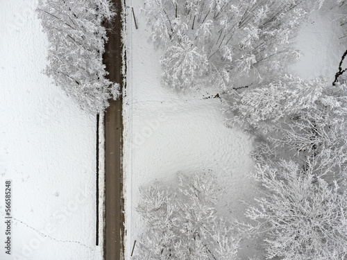 Obraz na płótnie Winter path , trees covered with snow. Aerial view landscape. w salonie