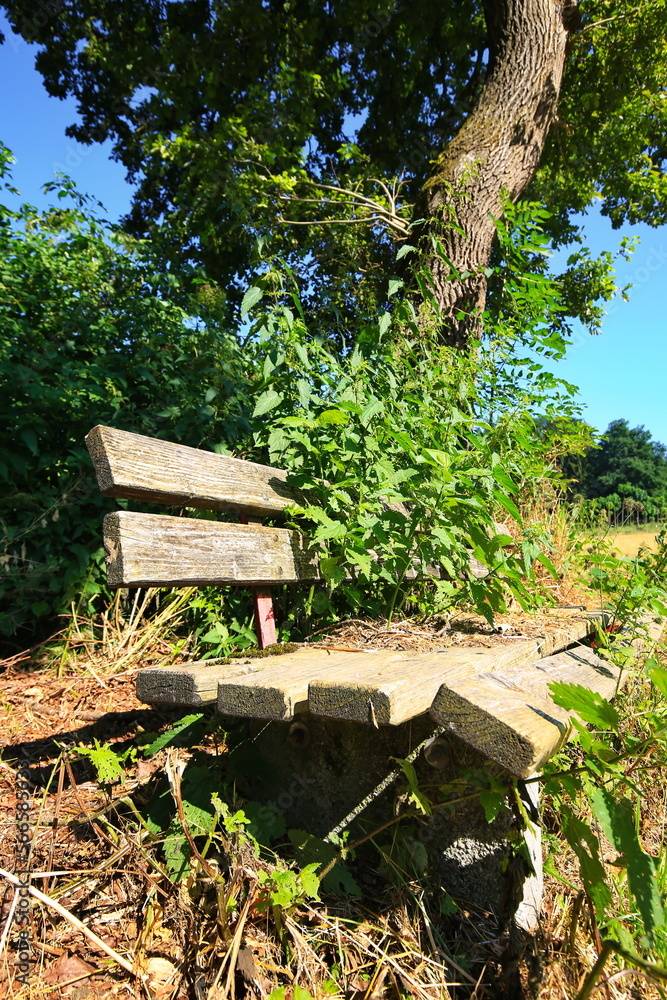 Vergammelte, zusammengebrochene Sitzbank am Wegesrand unter einem Baum. Vergammelte, zusammengebrochene Sitzbank am Wegesrand unter einem Baum.