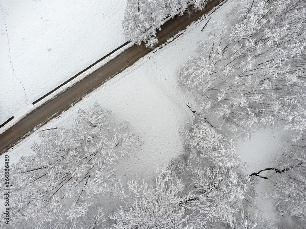 Winter path , trees covered with snow. Aerial view landscape.