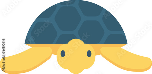 activity turtle and sea