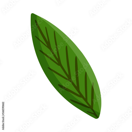 Green leaf. Design for postcard, poster, ad, decor, fabric and other uses. Vector isolated illustration.