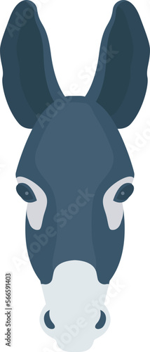 animal   donkey and animal