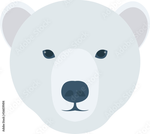 animal   bear and animal