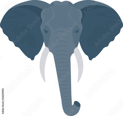 animal   elephant and animals