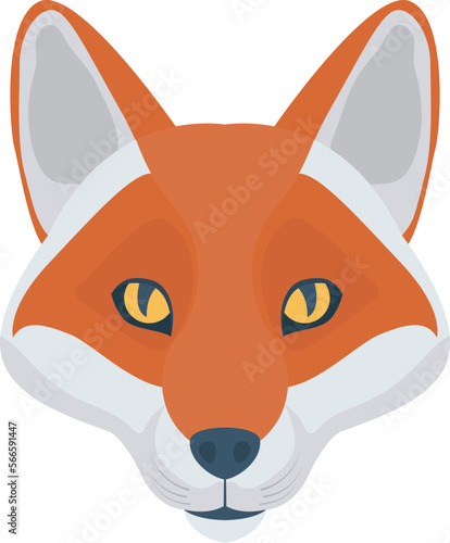 animal   wolf and animals