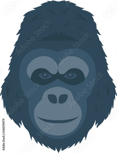 animal   monkey and gorilla