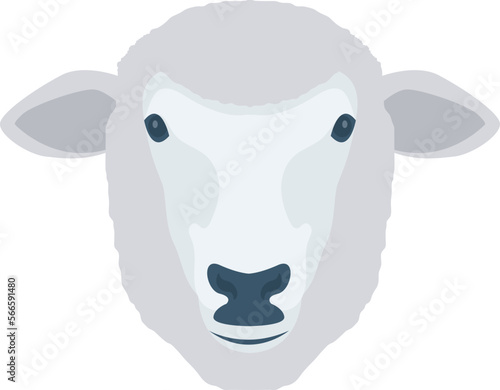 animal   sheep and lamb