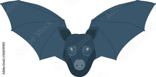 animal   bat and halloween