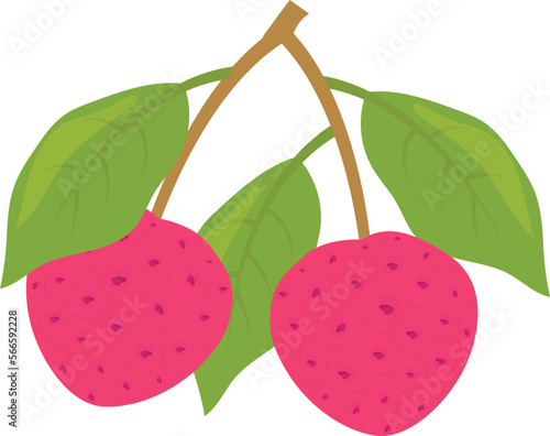 fruits fresh and drink