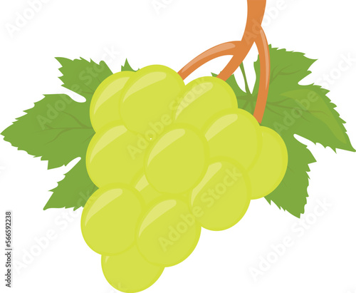 fruits food and healthy