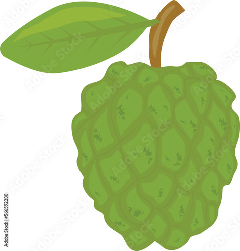 fruits pineapple and fresh
