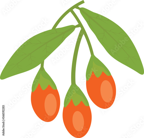 fruits berries and food
