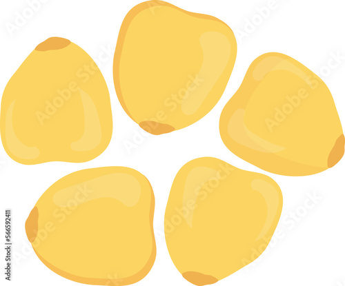 fruits corn and food