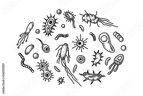 Set of hand drawn bacterias and microorganisms. Vector illustration in sketch style. Realistic microbiology scientific design