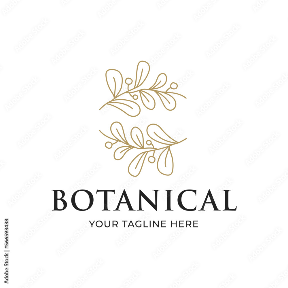 olive oil leaf logo botanical line art