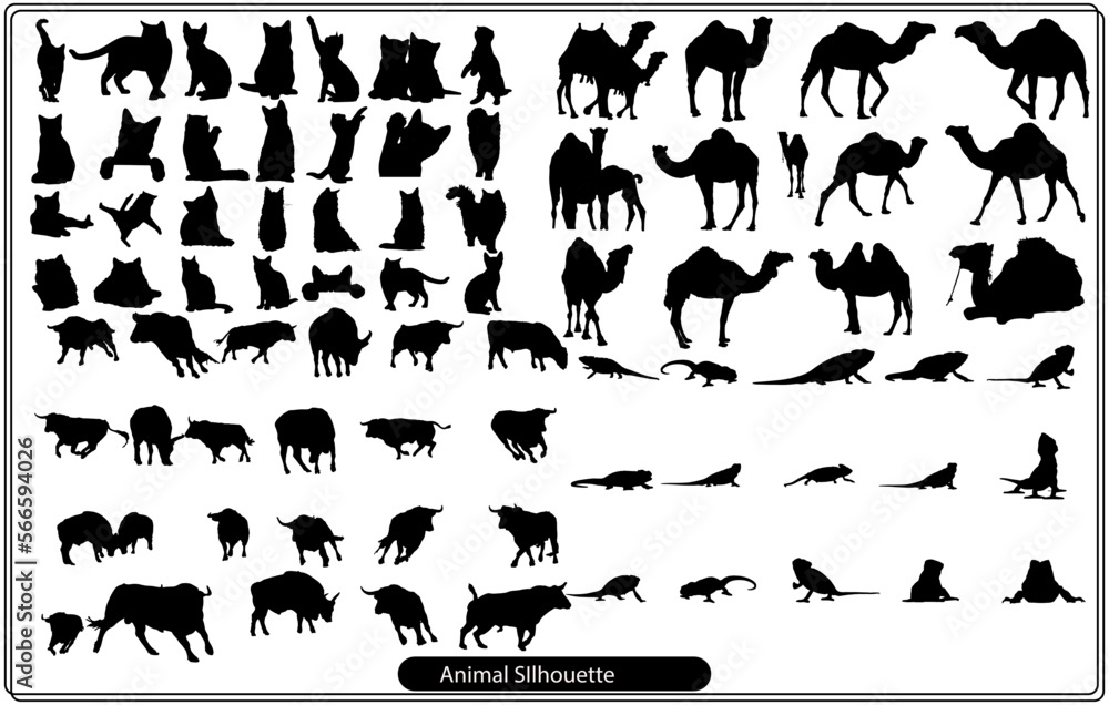 Collection of animal silhouettes on a white background

