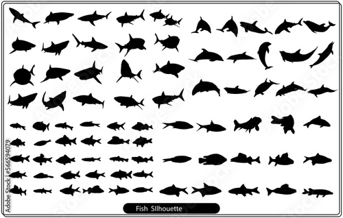 Fish sorts and types. Various freshwater fish. Hand drawn vector illustrations of different inland sorts.Over hundred silhouettes. Titles / names written in English. 
