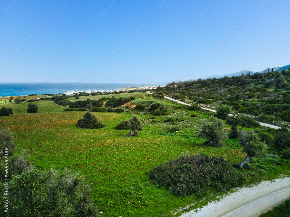 Sea view lands in green field in Esentepe, North Cyprus