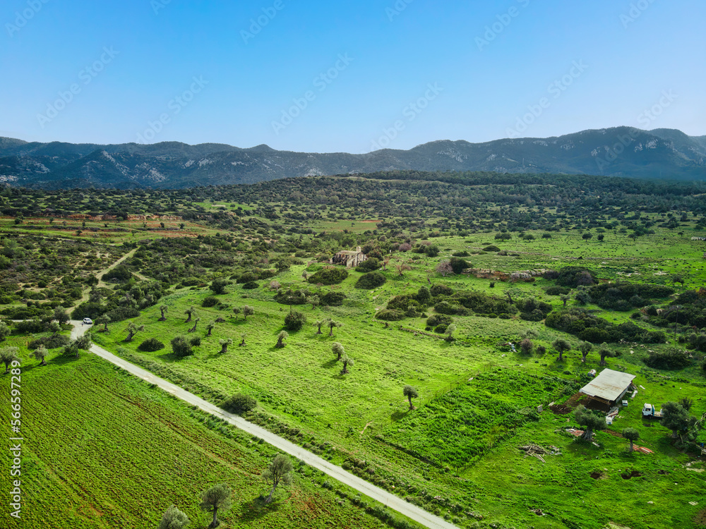 Sea view lands in green field in Esentepe, North Cyprus