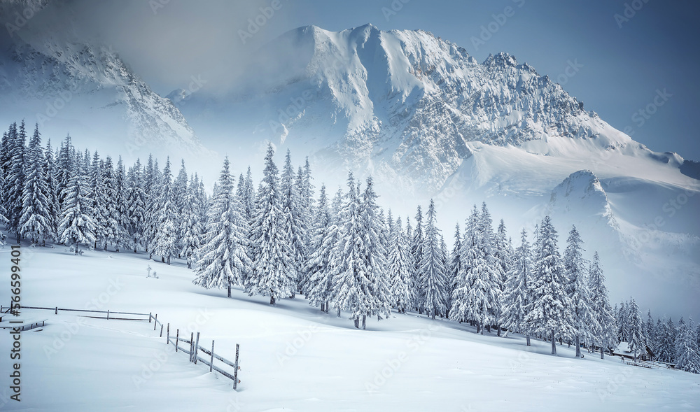 Amazing winter scenery. Composite winter landscape in mountains. Beautiful winter mountain landscape with frosty pine forest on highland and Majestic snowcovered mountain peak on background.