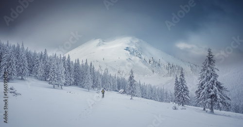 Amazing winter scenery. Man photographer on snowshoes walking against of Frosty pine trees on snowy highlands to Majestic snowcovered mountain peak on background. concept outdoor activity of Winter
