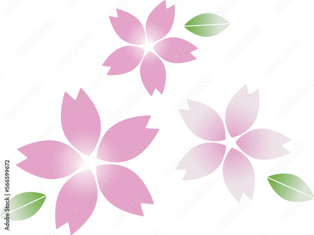 桜の花と葉っぱ ピンク 桜の花と葉っぱ ピンク