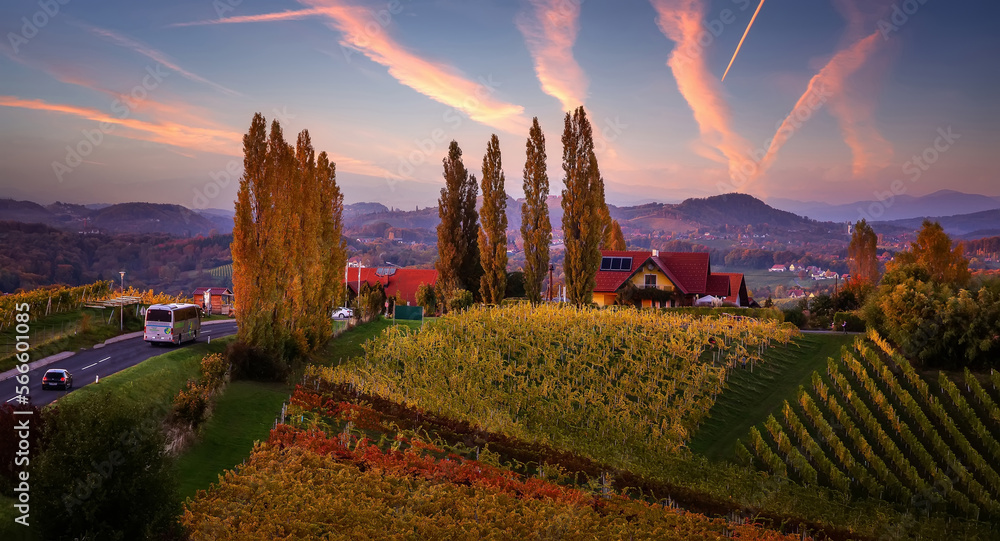 Naklejka premium Sunset view at grape hills with colorful sky. Gamlitz popular travell destination, Austria. Europe. Awesome nature Background