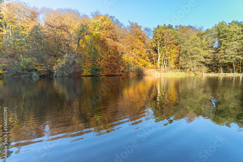 Herbststimmung am Wiembecketeich, Externsteine, Horn-Bad Meinberg, Nordrhein-Westfalen