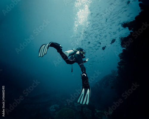 Canvas Print Scooba in Indonesia